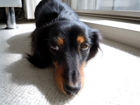 c0117831_2011575.jpg