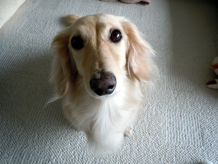 c0117831_2011664.jpg