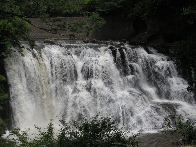 e0202031_21584454.jpg