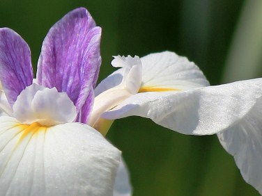 c0118235_22493023.jpg