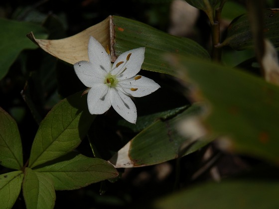 f0003138_105951100.jpg