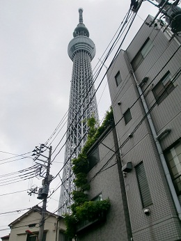d0159155_18375249.jpg