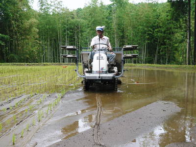 菊池水源棚田米 田植えはパズル?その2_a0254656_1811257.jpg