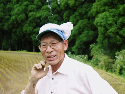 菊池水源棚田米 田植えはパズル?その2_a0254656_1824747.jpg