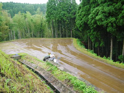 菊池水源棚田米 田植えはパズル?その2_a0254656_1892651.jpg