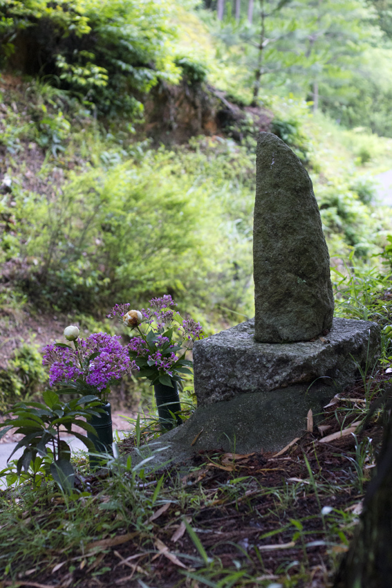 b0167256_78159.jpg