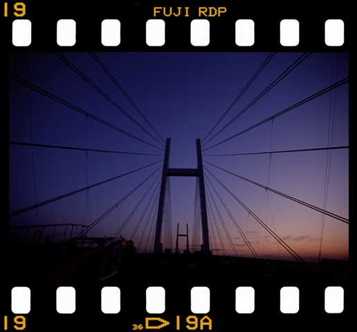 d0154964_9421649.jpg