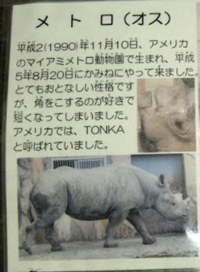 かみね動物園 サイたちの紹介板 ごきげんよう 犀たち