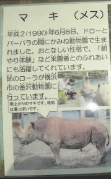 かみね動物園 サイたちの紹介板 ごきげんよう 犀たち