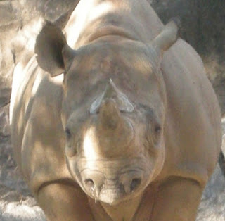 ●金沢動物園　：　父・母・_e0266067_21125159.jpg