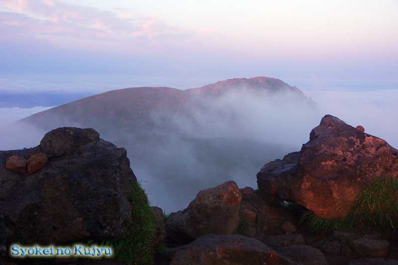 f0173067_13132250.jpg