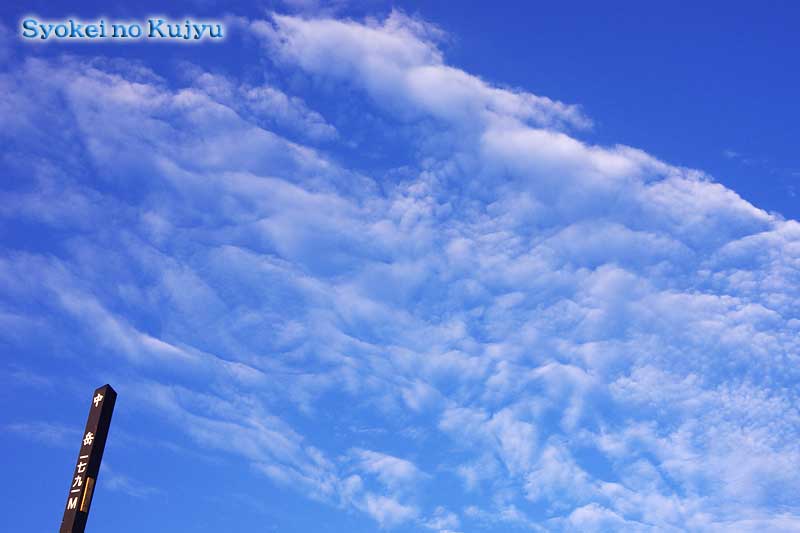 f0173067_13162171.jpg