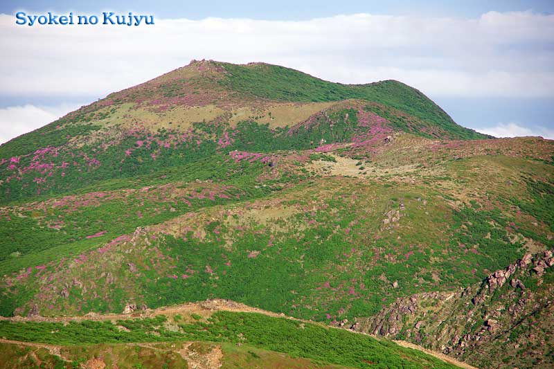 f0173067_13274570.jpg