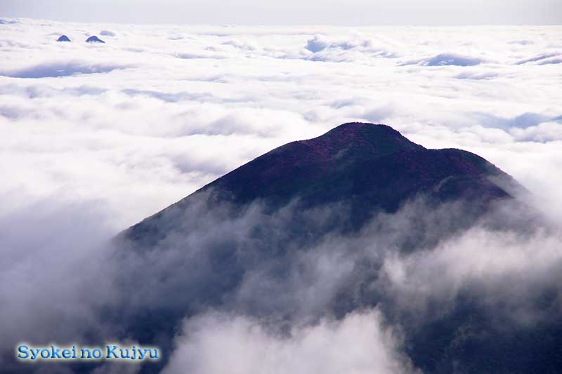 f0173067_13305240.jpg