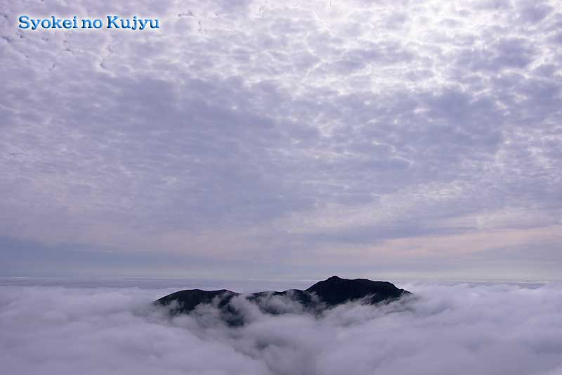 f0173067_13364025.jpg