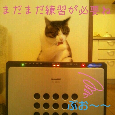 f0238772_10372133.jpg