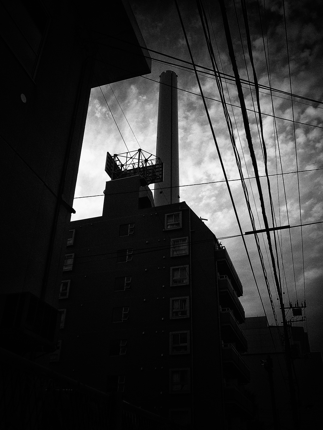 f0121181_150713.jpg