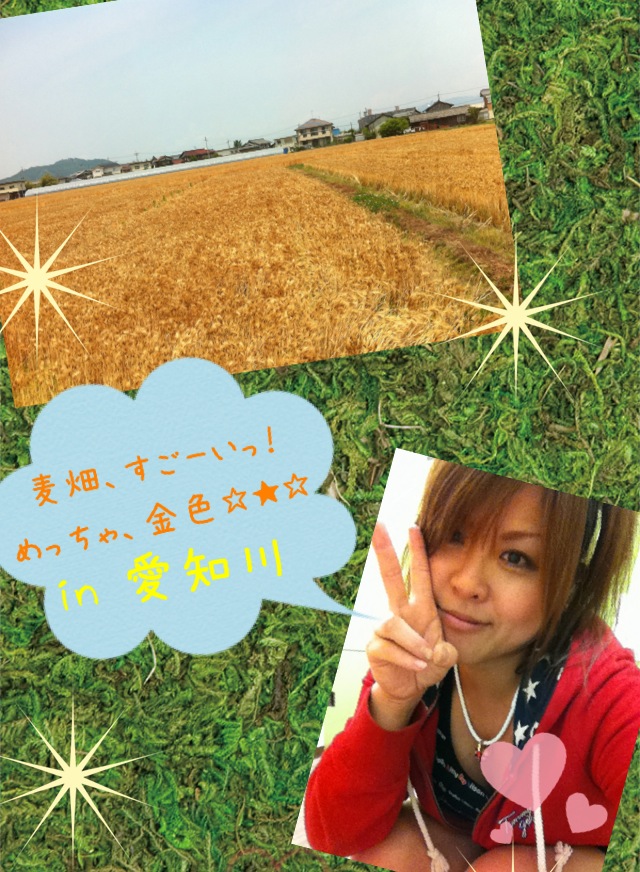 金色〜!_d0162684_17422012.jpg