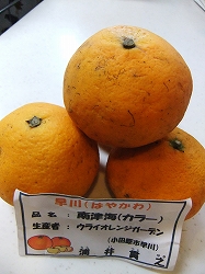 e0150989_22463733.jpg