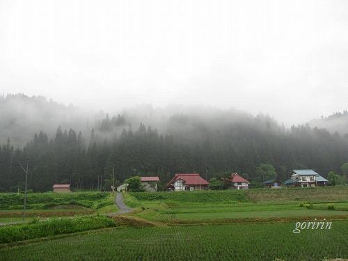 霧の福島県只見川。_f0202291_23495213.jpg