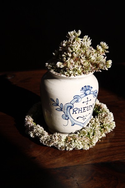 シロツメクサの冠 Entrez Dans Le Monde De La Brocante シロツメクサの冠 Entrez Dans Le Monde De La Brocante