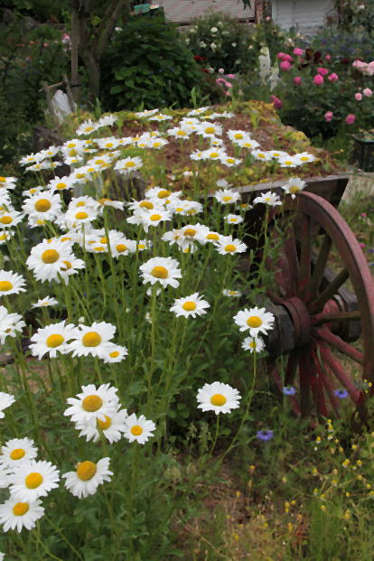 d0166303_021106.jpg