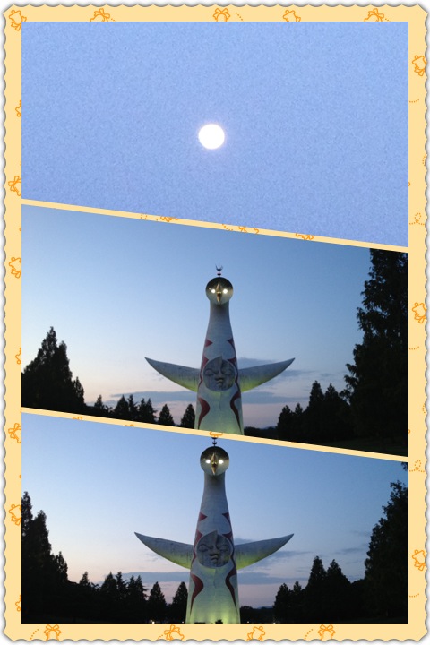 万博 日本庭園にほたるを見に行くの巻_a0194908_2238857.jpg