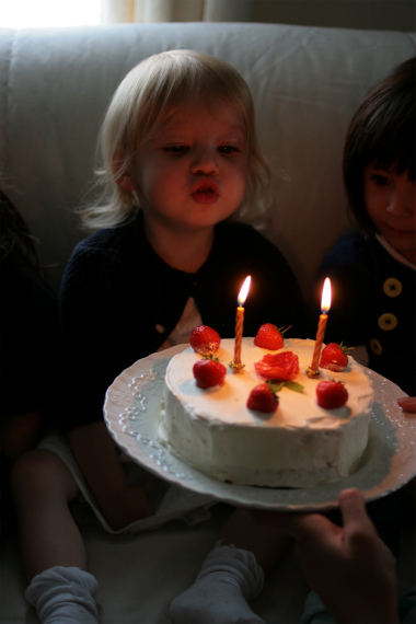 Rose 2歳の誕生日。_a0215008_6235100.jpg