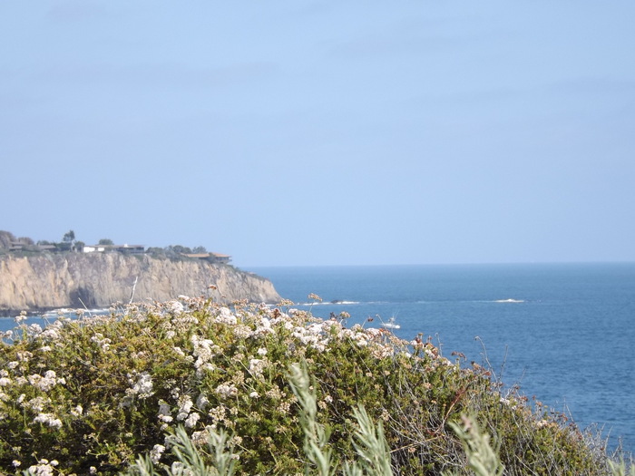 a0144811_253654.jpg