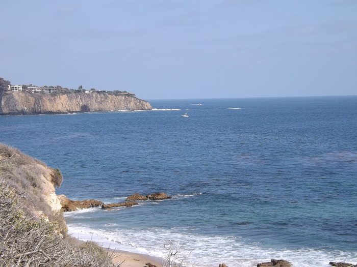 a0144811_254955.jpg