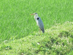 f0147922_12334115.jpg