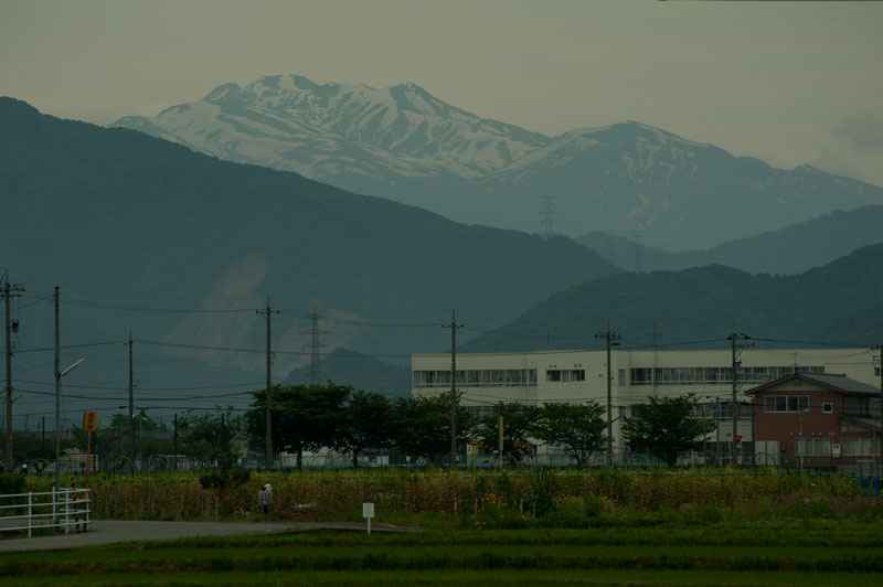 b0177233_511899.jpg