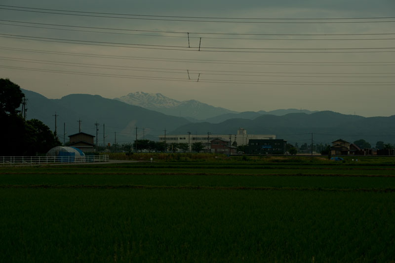 b0177233_5123429.jpg