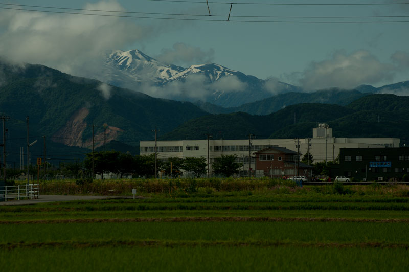 b0177233_56554.jpg