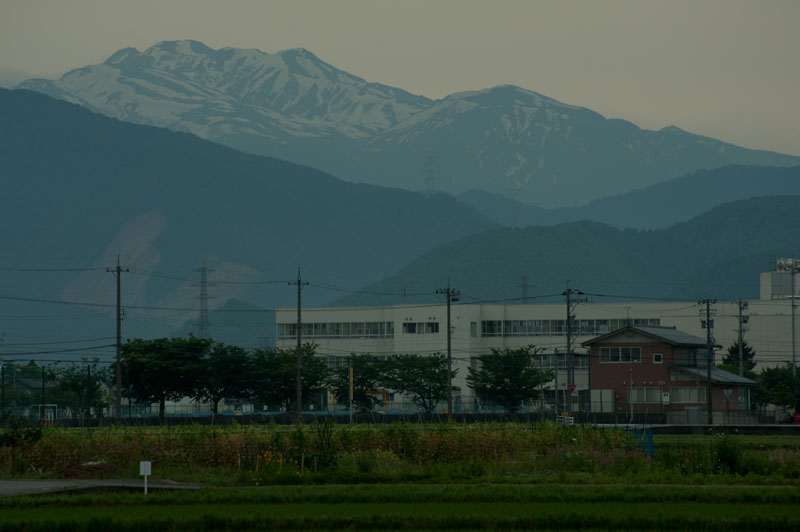 b0177233_594787.jpg