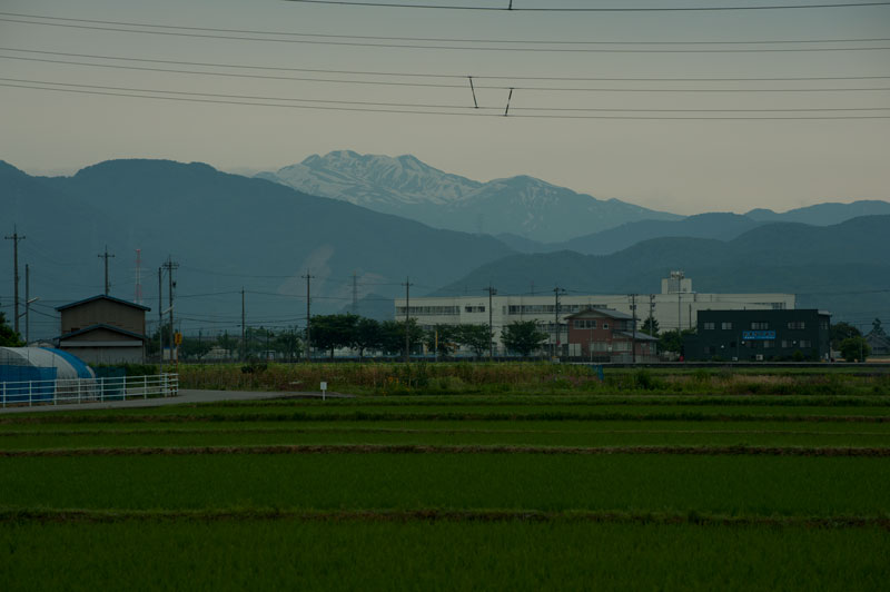 b0177233_59862.jpg