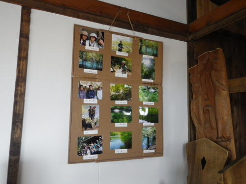 ミルの小さな写真展_b0207642_1256226.jpg