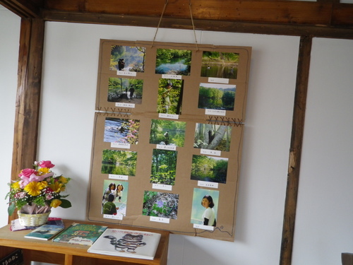 ミルの小さな写真展_b0207642_1395619.jpg