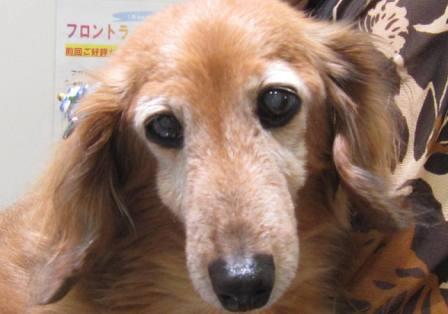 6月14日の写真_c0174644_111774.jpg