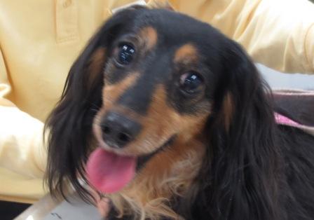 6月14日の写真_c0174644_11585160.jpg