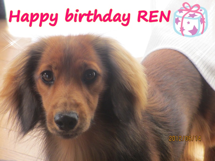 Happy　birthday　REN♪♪♪_d0242546_11381517.jpg