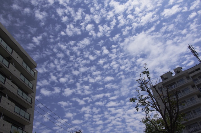 千切れ雲 ふつうのコト 千切れ雲 ふつうのコト