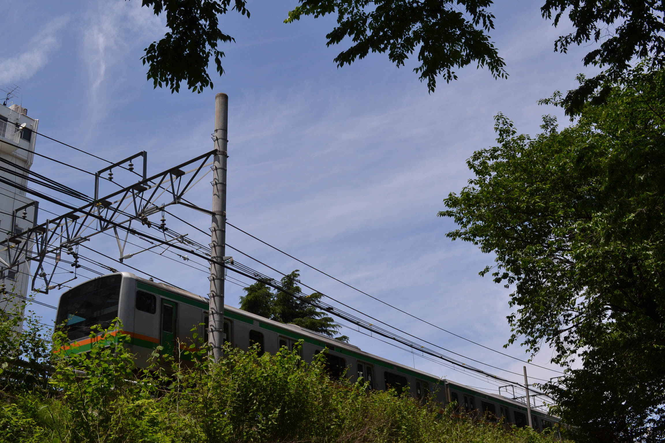 露払い湘南新宿ライン_f0113552_2353474.jpg