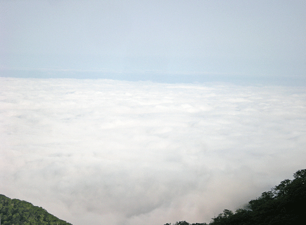a0001354_2101230.gif