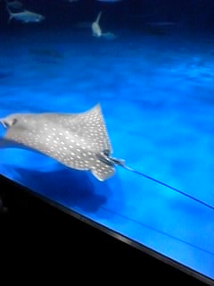 e0257758_11592773.jpg