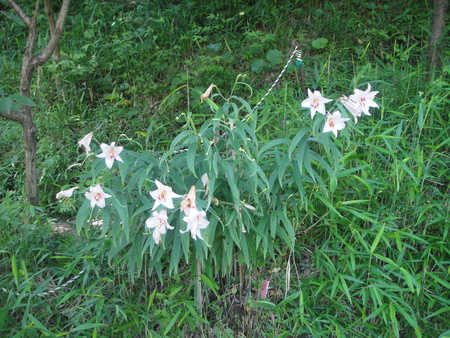 c0108460_2215486.jpg