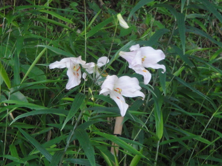 c0108460_22172283.jpg