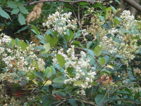 c0108460_2226834.jpg
