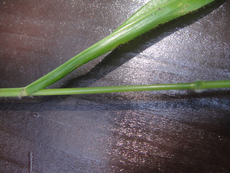 c0108460_22271158.jpg