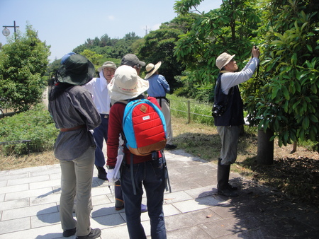 c0108460_22321075.jpg